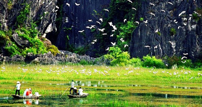 thung-nham-bird-park-ninh-binh