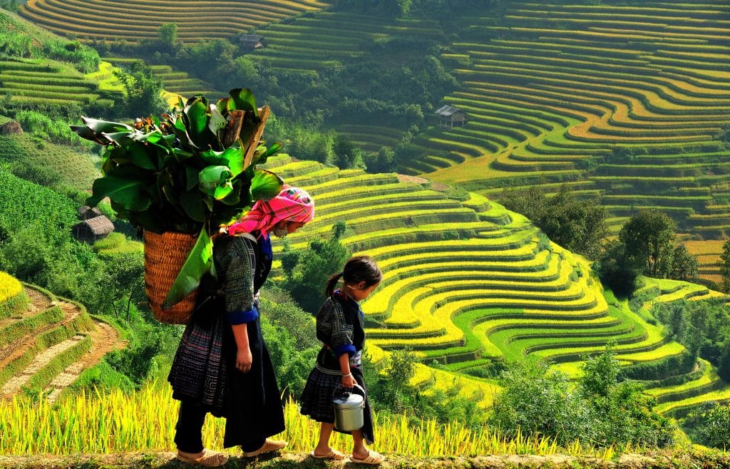 Northwest vietnam tour 5 days 4 nights