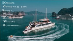 the_ha_long_catamaran_cruise