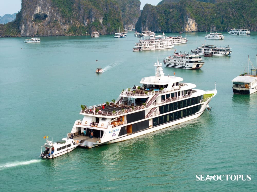 Sea Octopus Cruise Halong