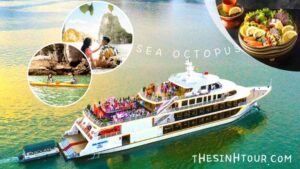 sea-octopus-cruise-halong-bay-1-day