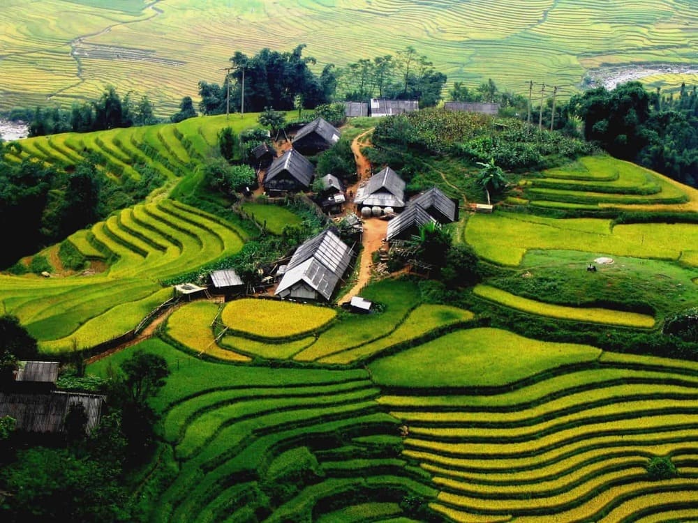 SaPa Trekking 3D2N ( 1 night hotel & 1 night at homestay )