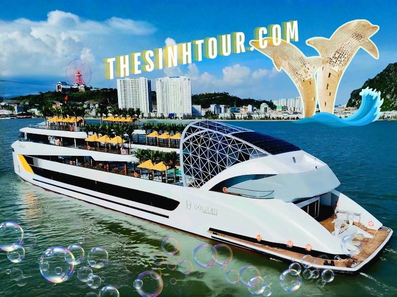 Dolphin Halong Cruise 1 Day