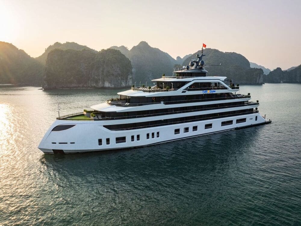 Tulip Cruise Lan Ha Bay 6 Star Luxury