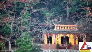 Chua huong mua hoa gao (3)
