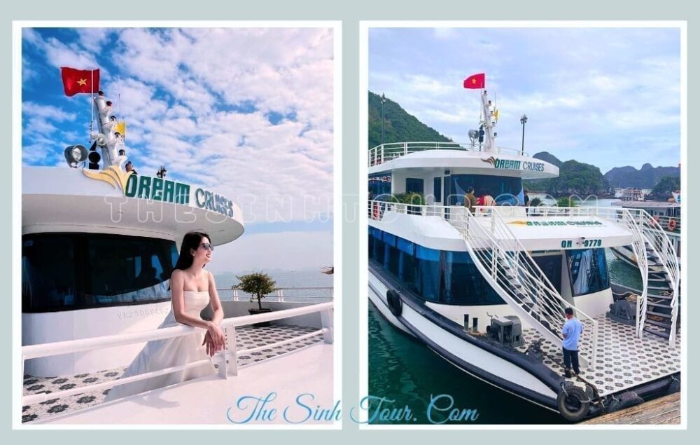 V-Dream Cruise Tiện nghi và dịch vụ đẳng cấp