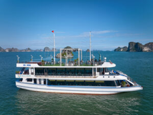 Sea Lion Cruise Halong