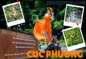 Tour Rừng Cúc Phương Ninh Bình 2 ngày 1 đêm