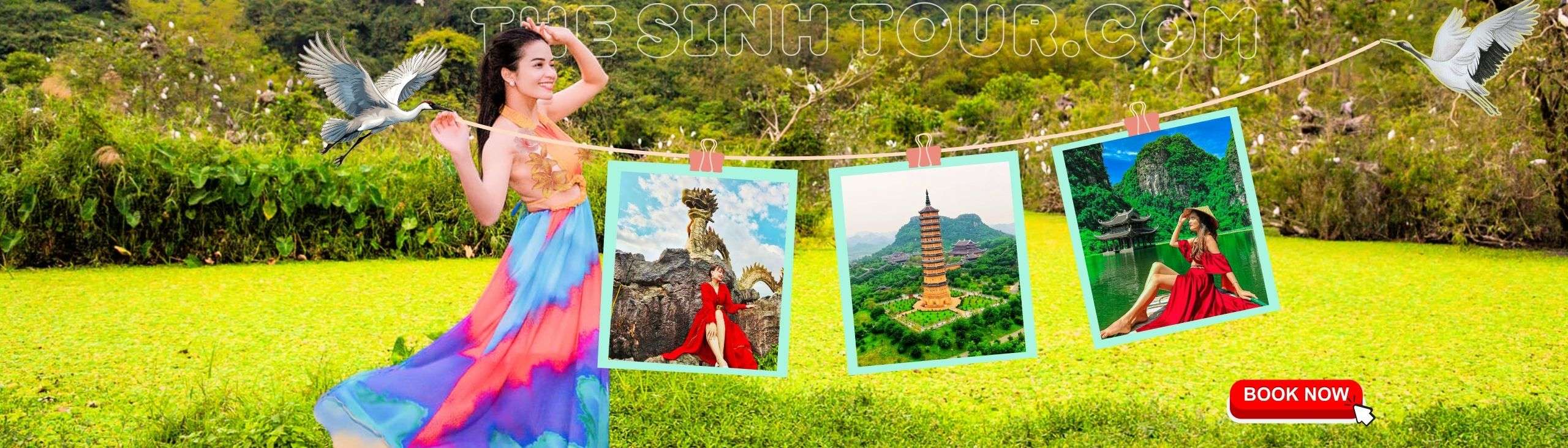THE SINH TOURIST 91 THUỐC BẮC
