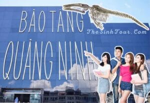 Giá vé bảo tàng Hạ Long (2)