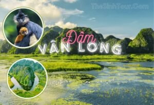 Đầm Vân Long