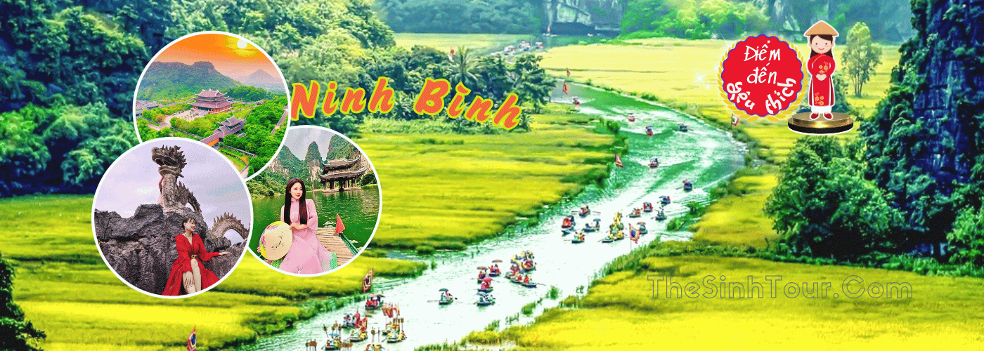 THE SINH TOURIST 91 THUỐC BẮC