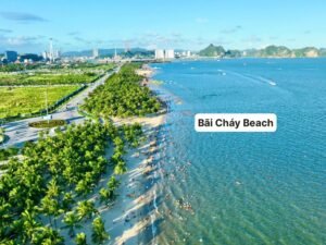Bãi tắm Bãi Cháy Hạ Long
