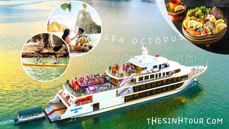 Tour du lịch Vịnh Hạ Long 1 ngày trọn gói [KHUYẾN MẠI 2025]